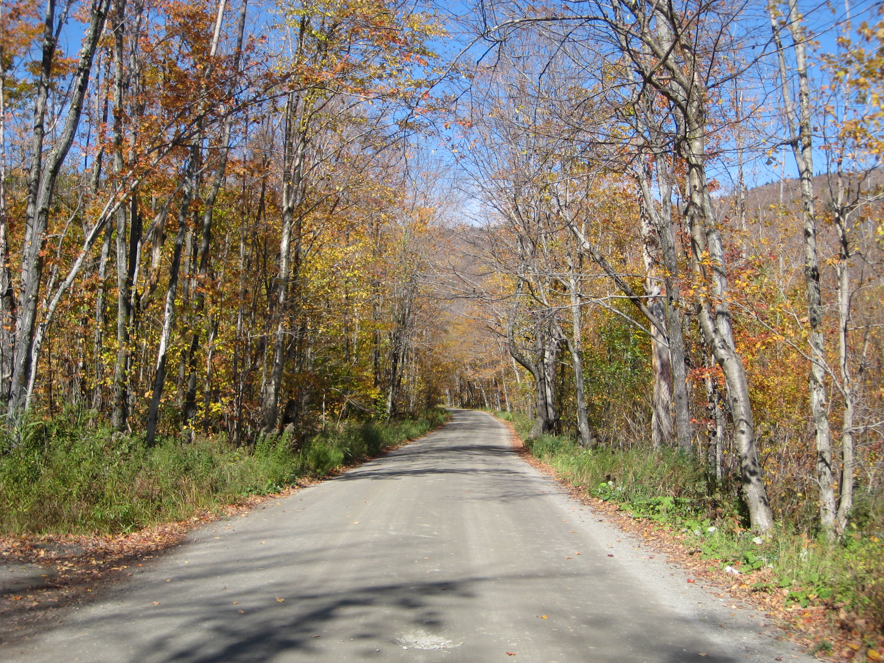 A dirt road in northern Vermont