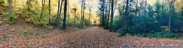 Closed Road Panorama