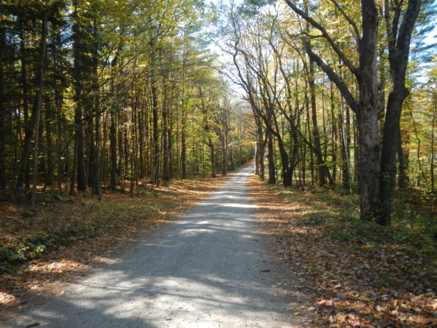 The trip’s first dirt road.