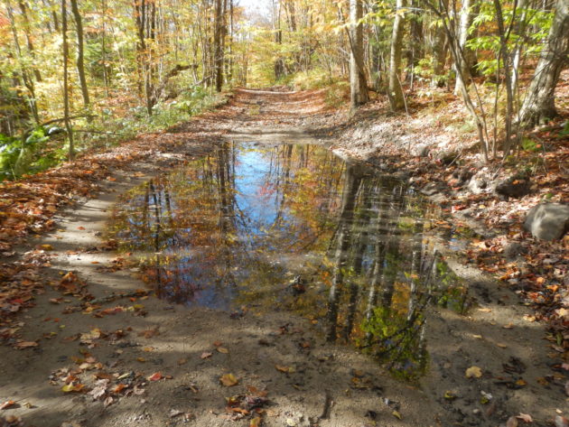 the mud puddle that ate my GPS