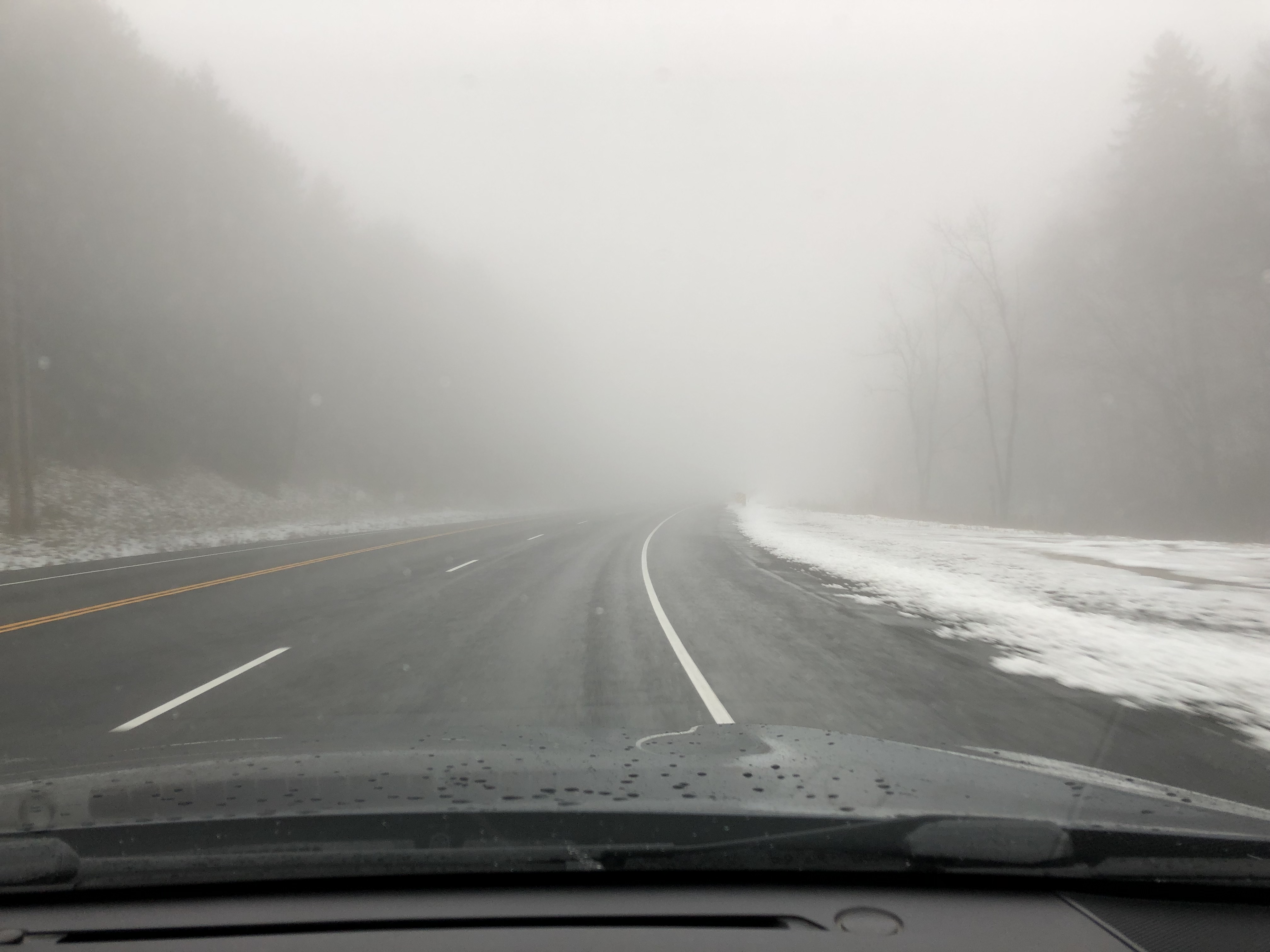 foggy drive