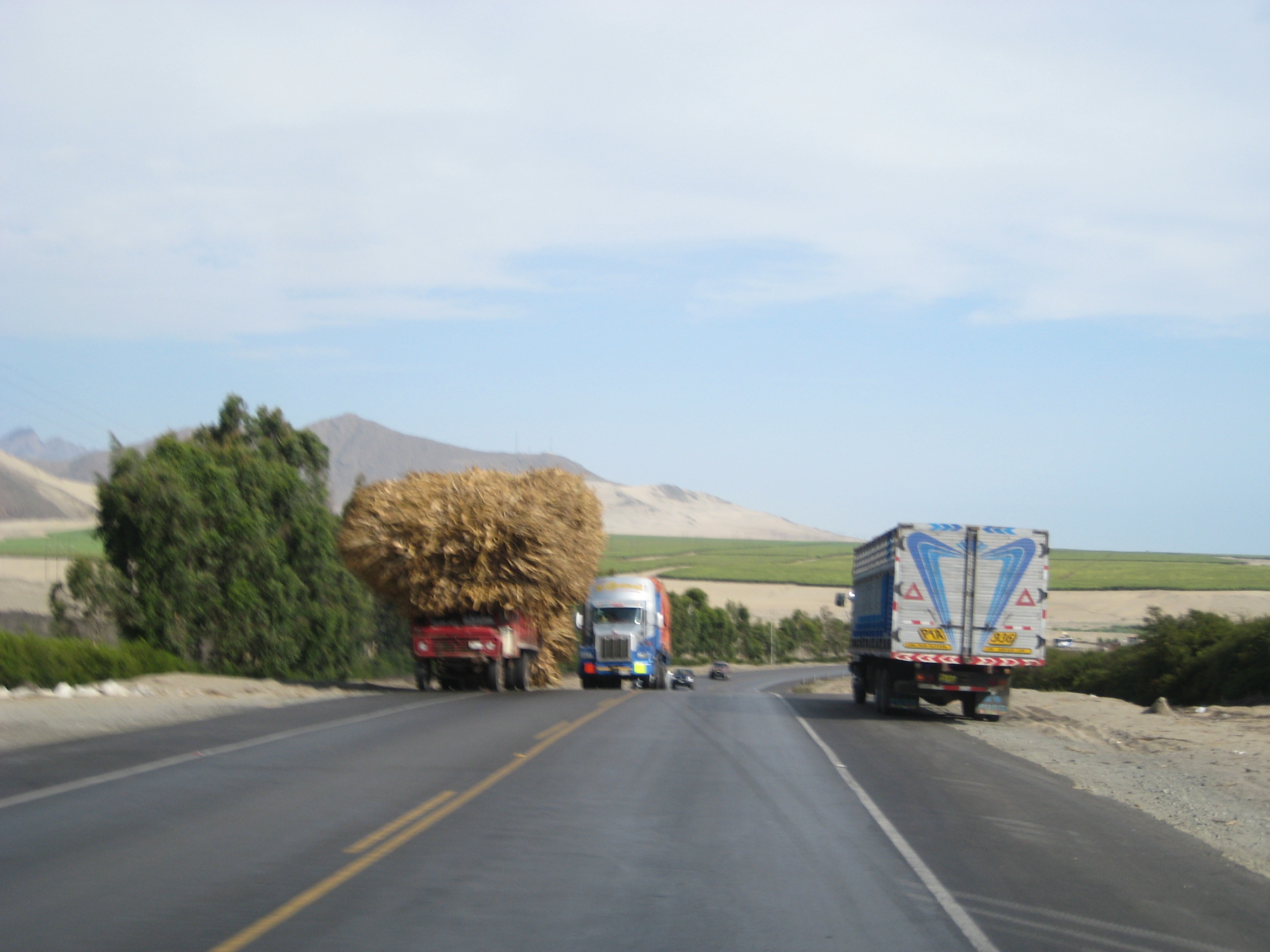 Hedgehog truck