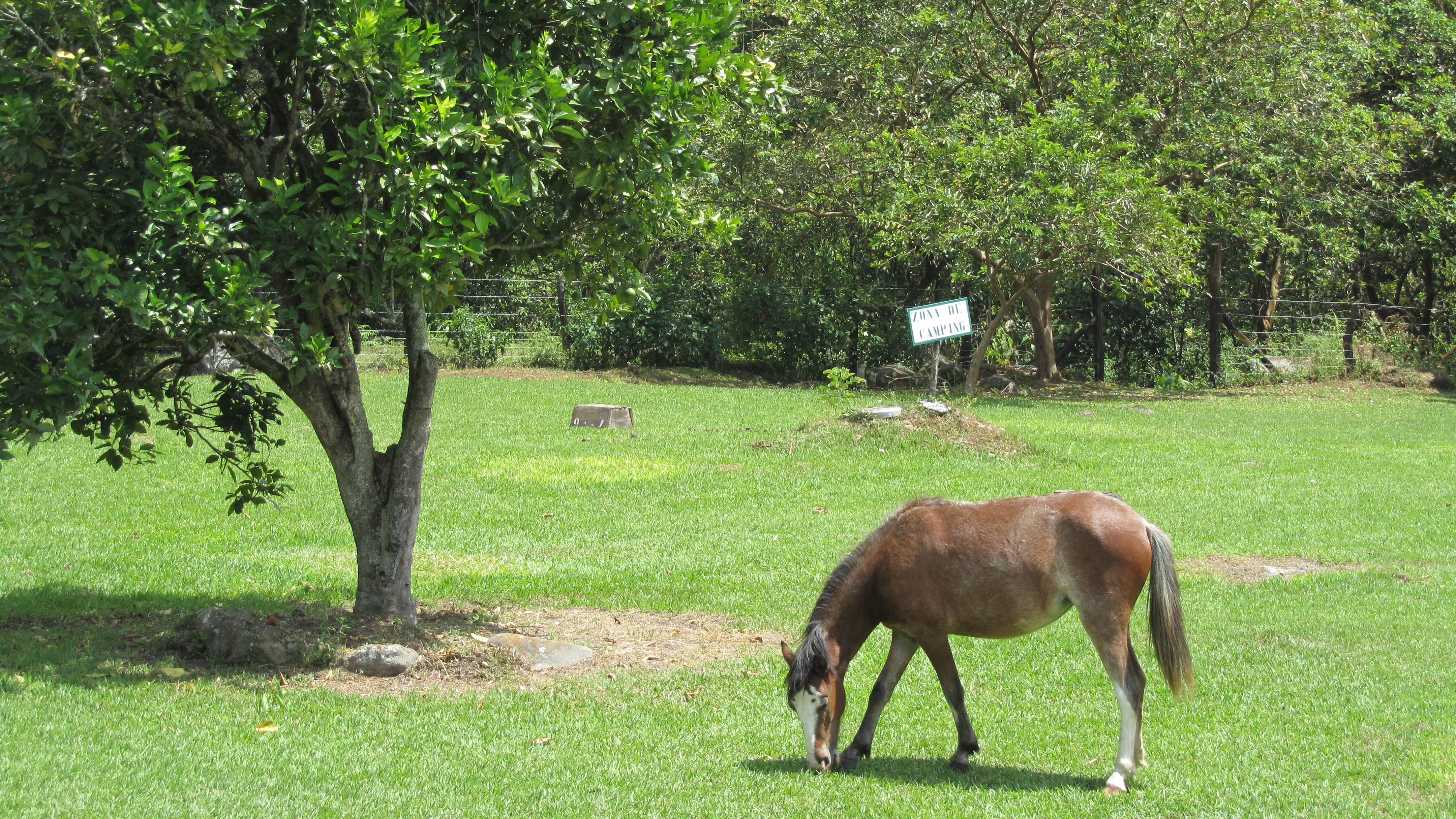 Lawnmower