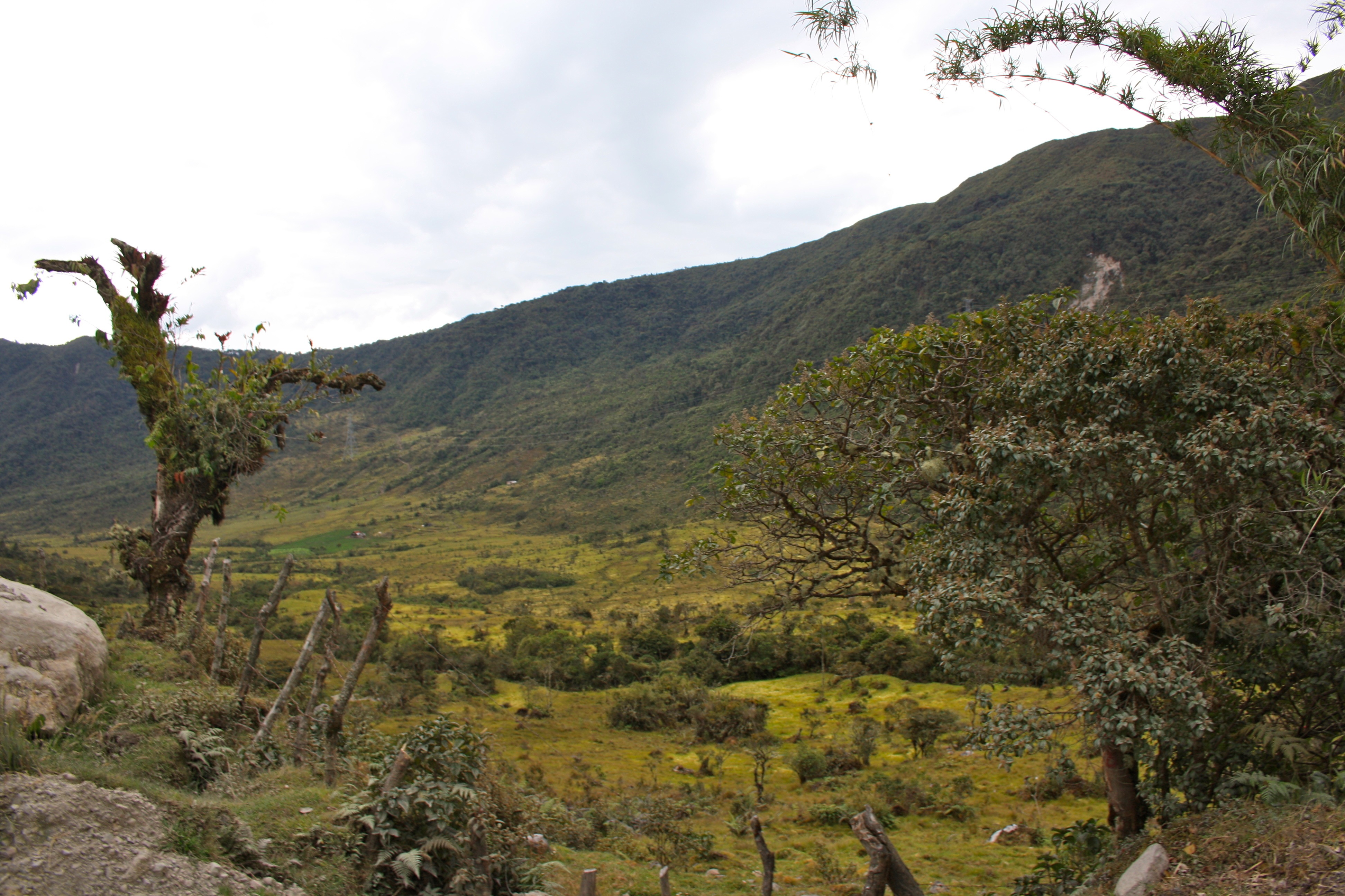 The road from Totoró to Inza