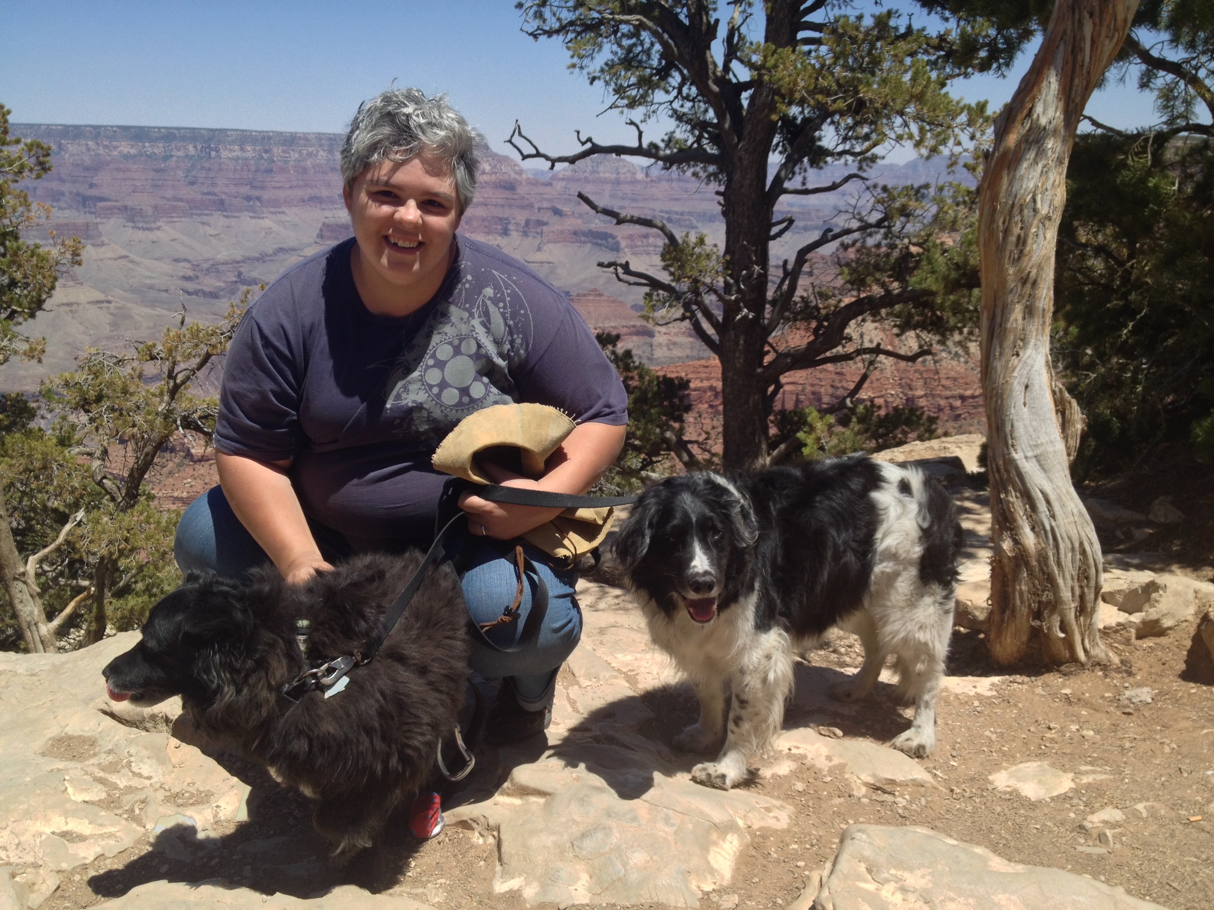 Dachary, Bandido, and Ben at the Grand Canyon