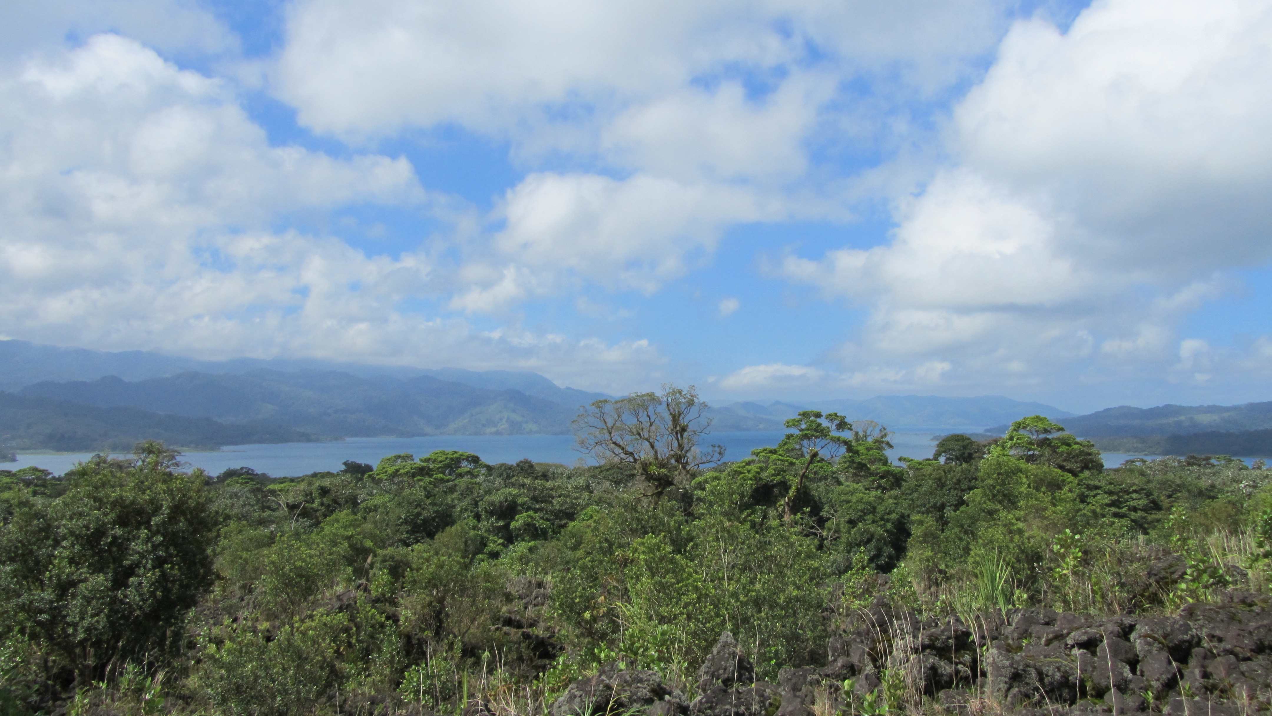 Lago Arenal