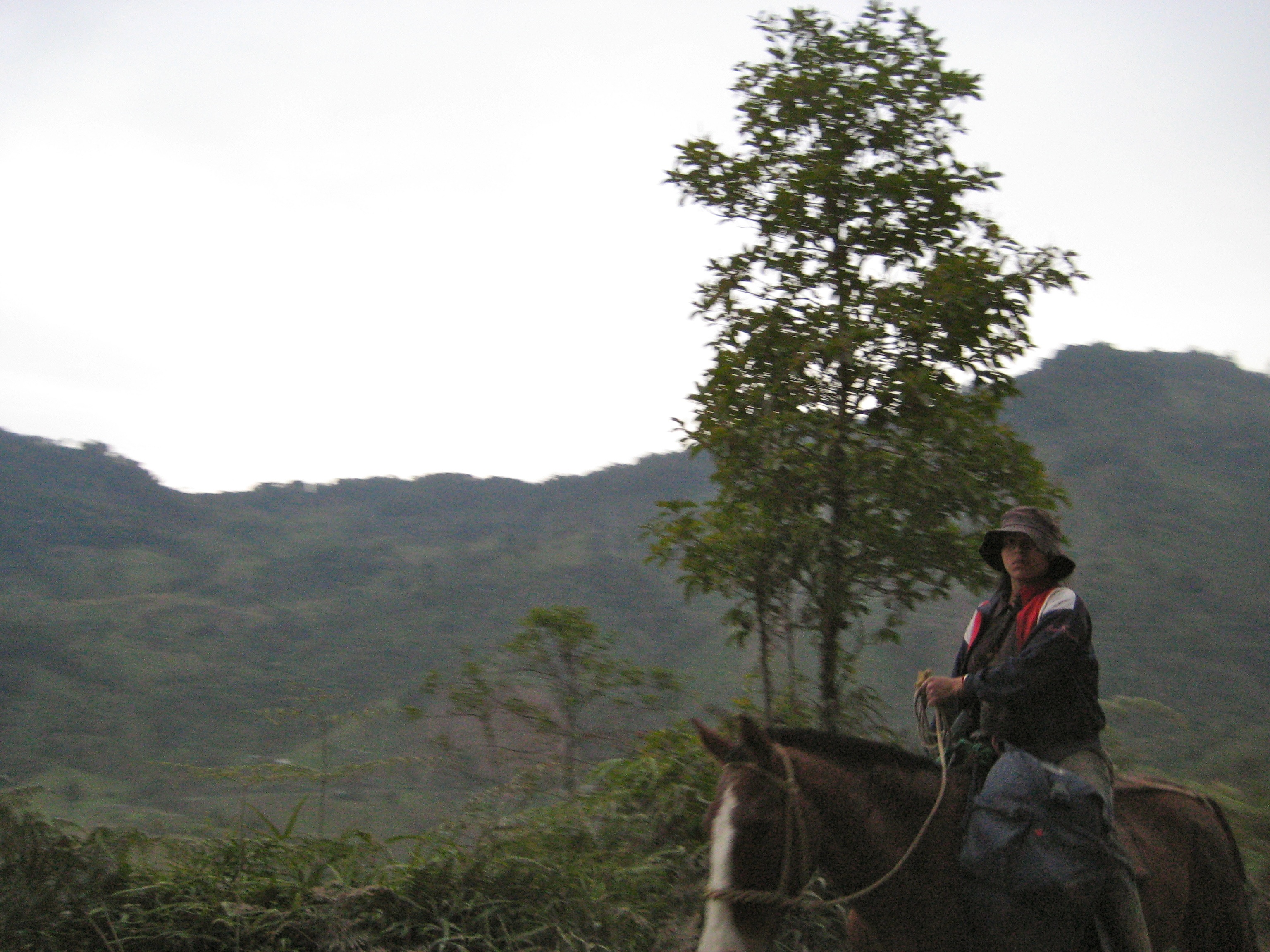 The road from Totoró to Inza