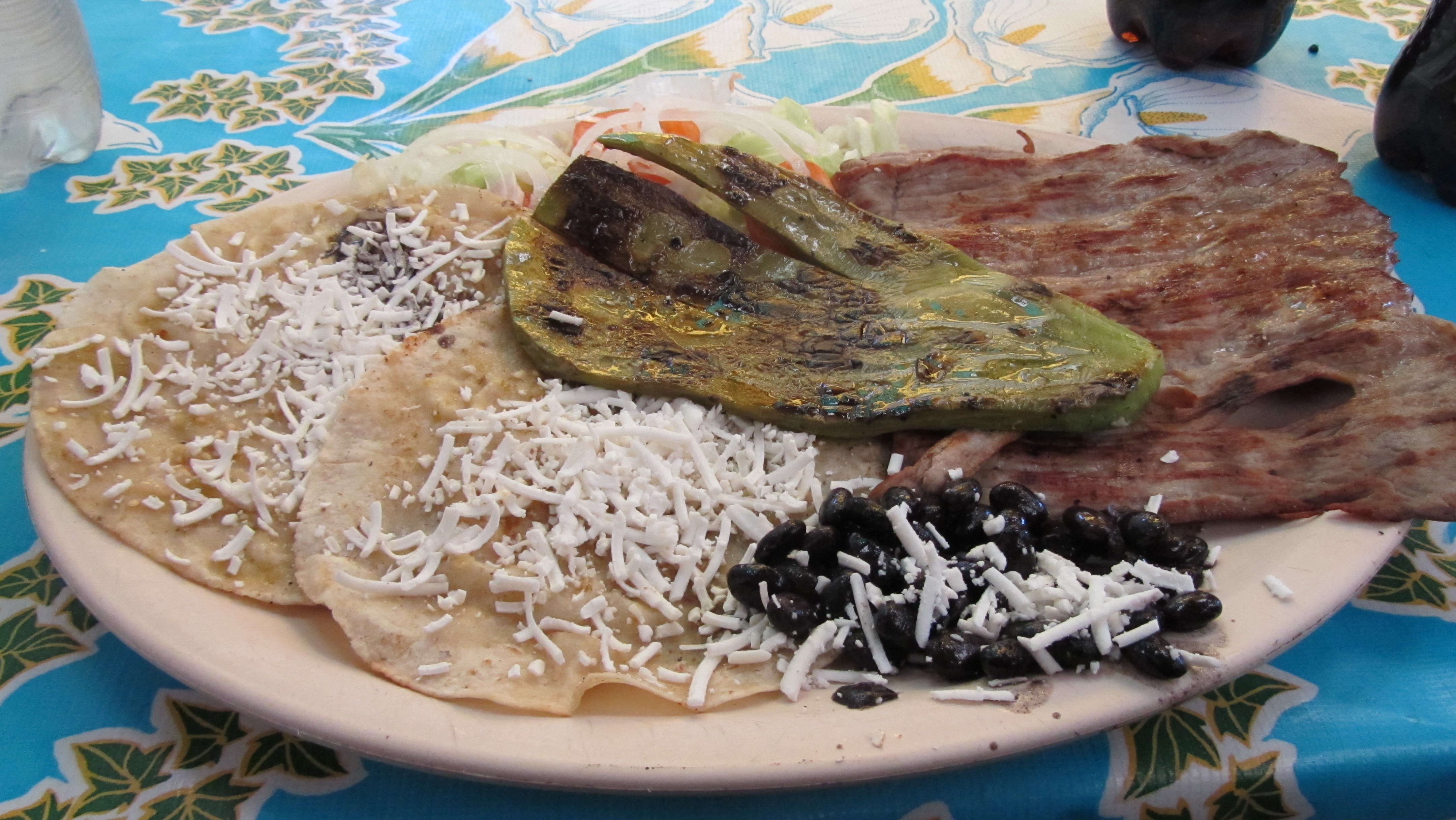 Cactus and grilled meat!