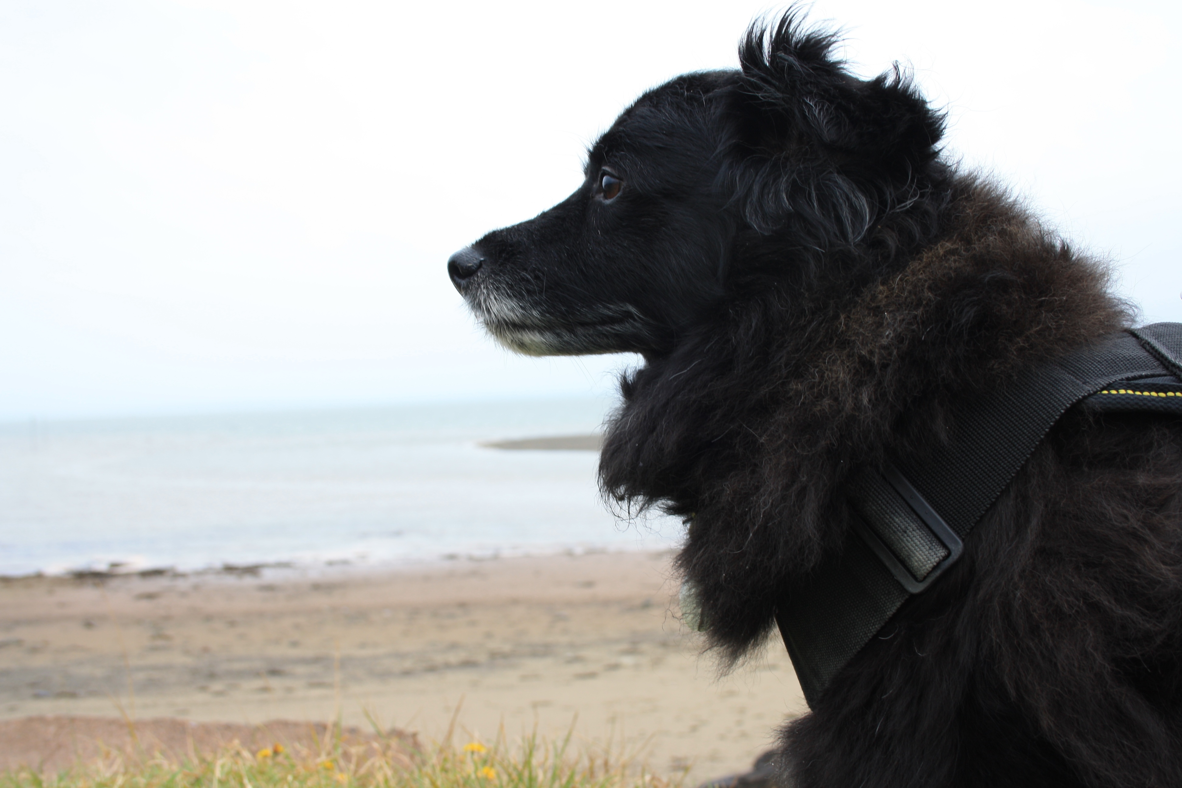 Bandido at Cape Enrage