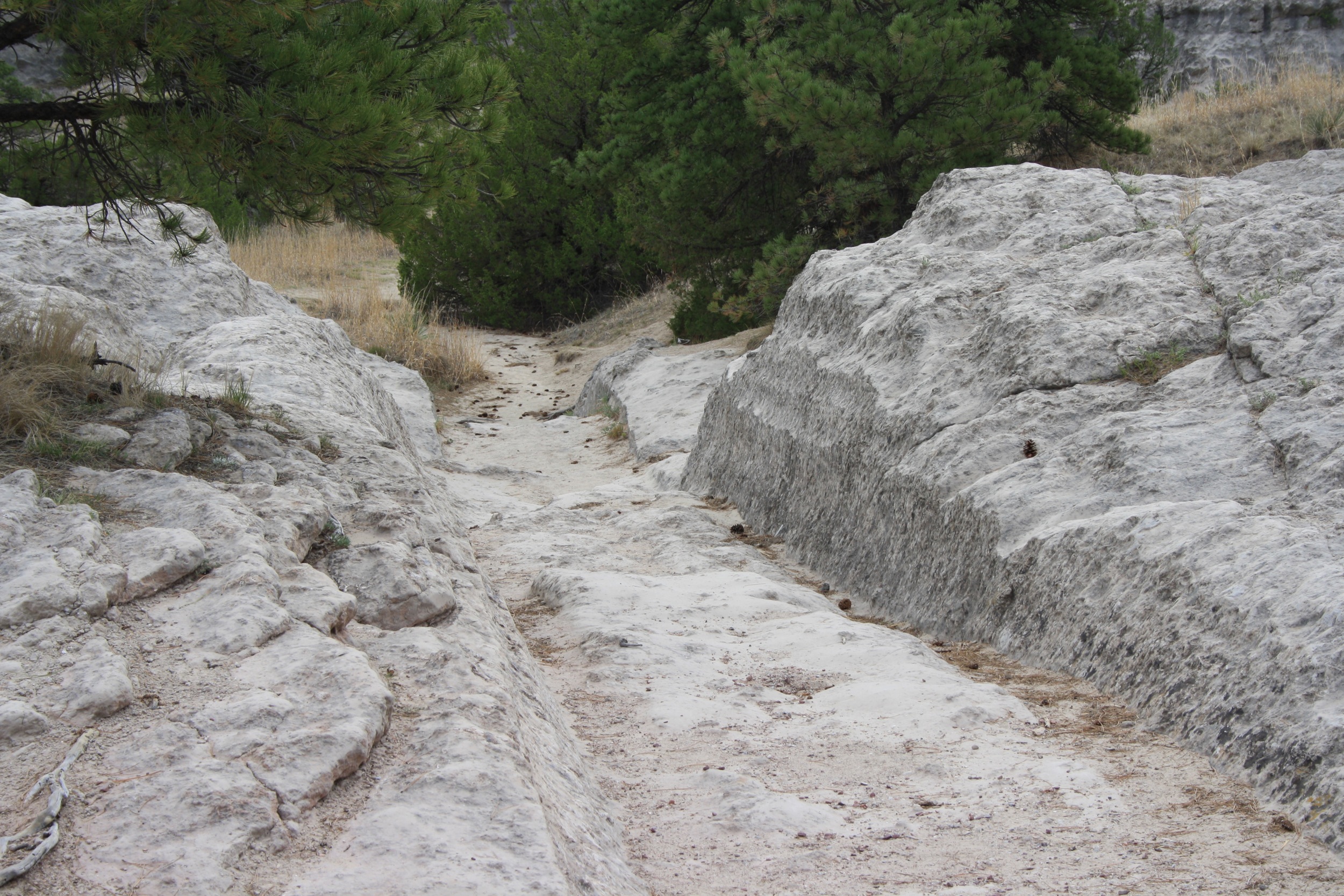 Oregon Trail Wagon Ruts