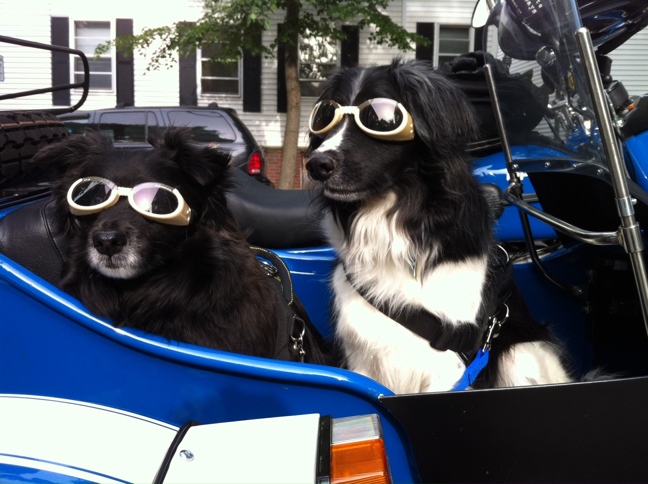 Ben and Bandido in the Ural