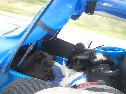 Ben and Bandido riding in the Sidecar