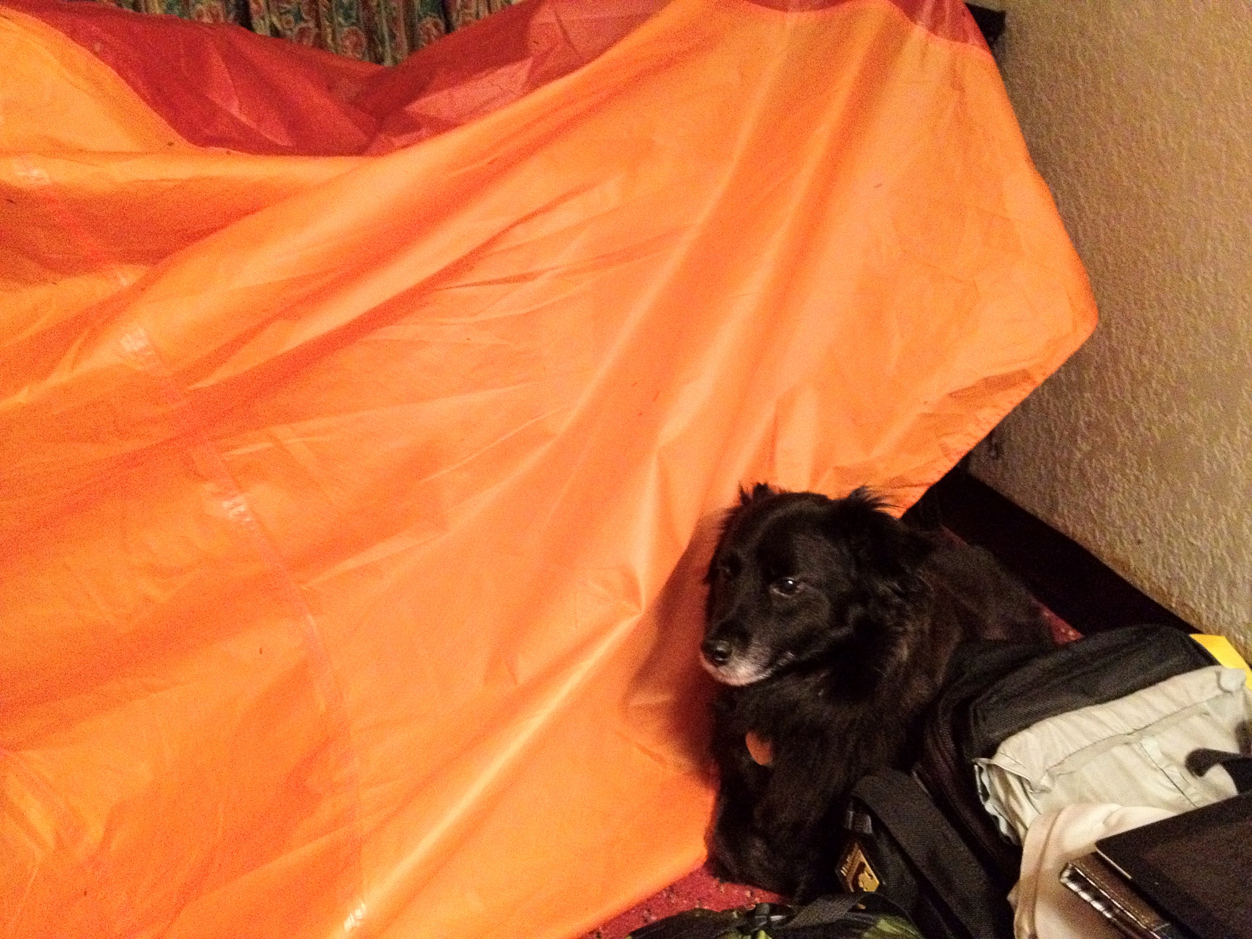 A tent-fort? Yes please