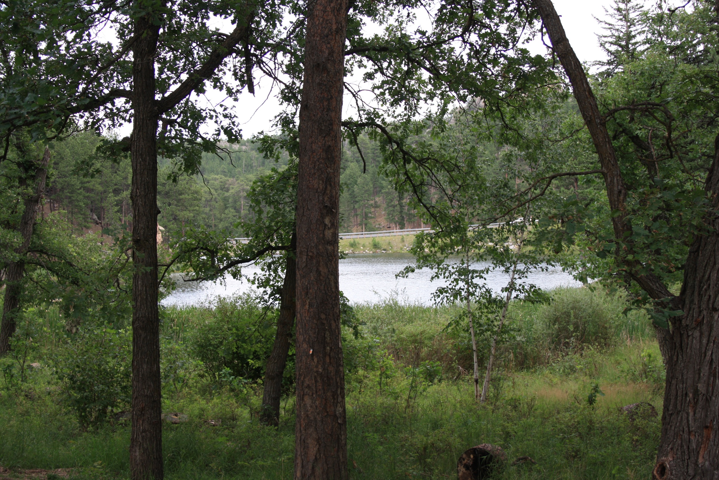 Horse Thief Lake