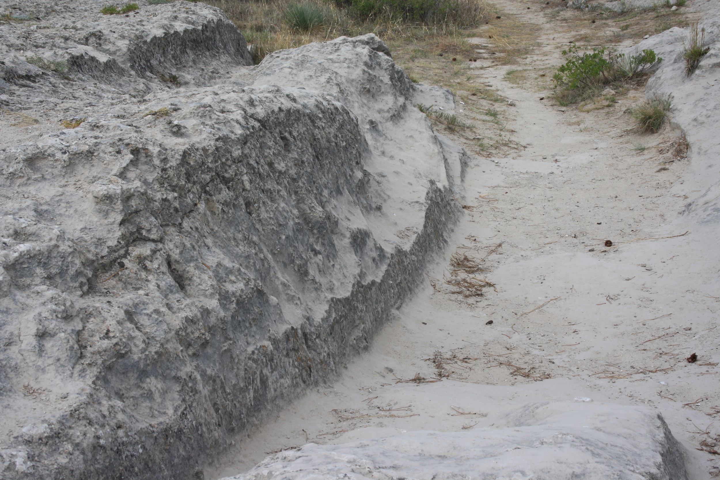 Oregon Trail Wagon Ruts